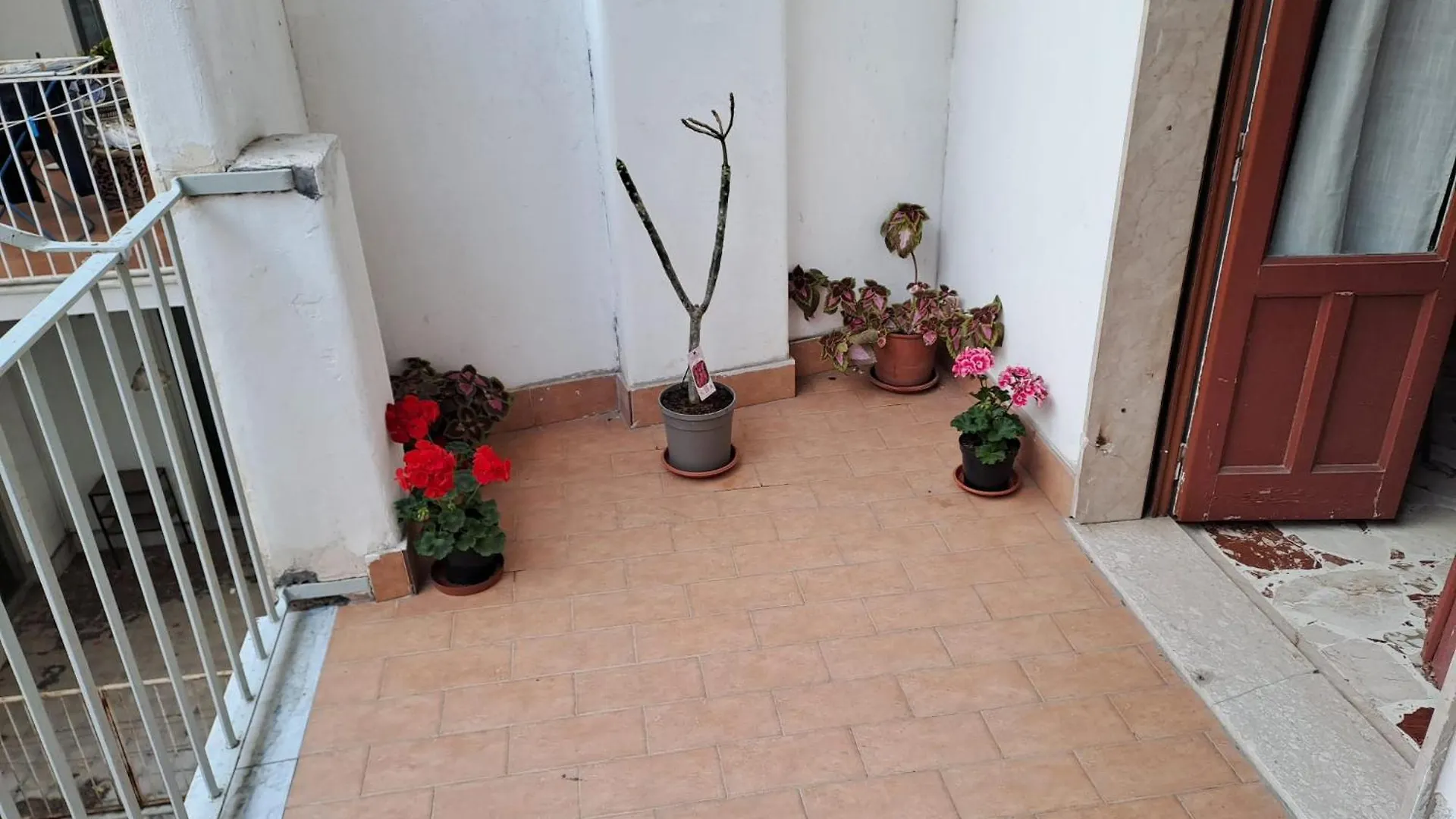 Guest house B&B Domus Pina Catania