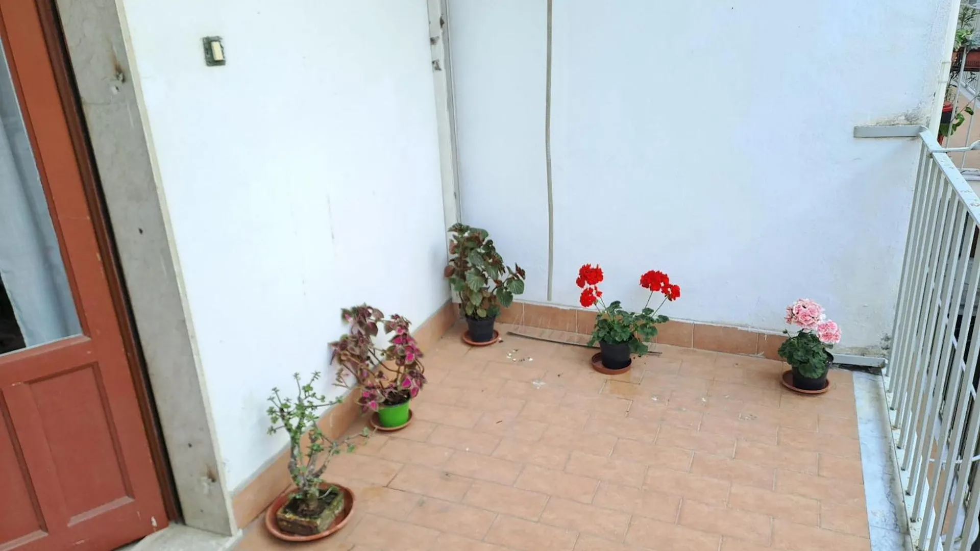 B&B Domus Pina Catania Guest house