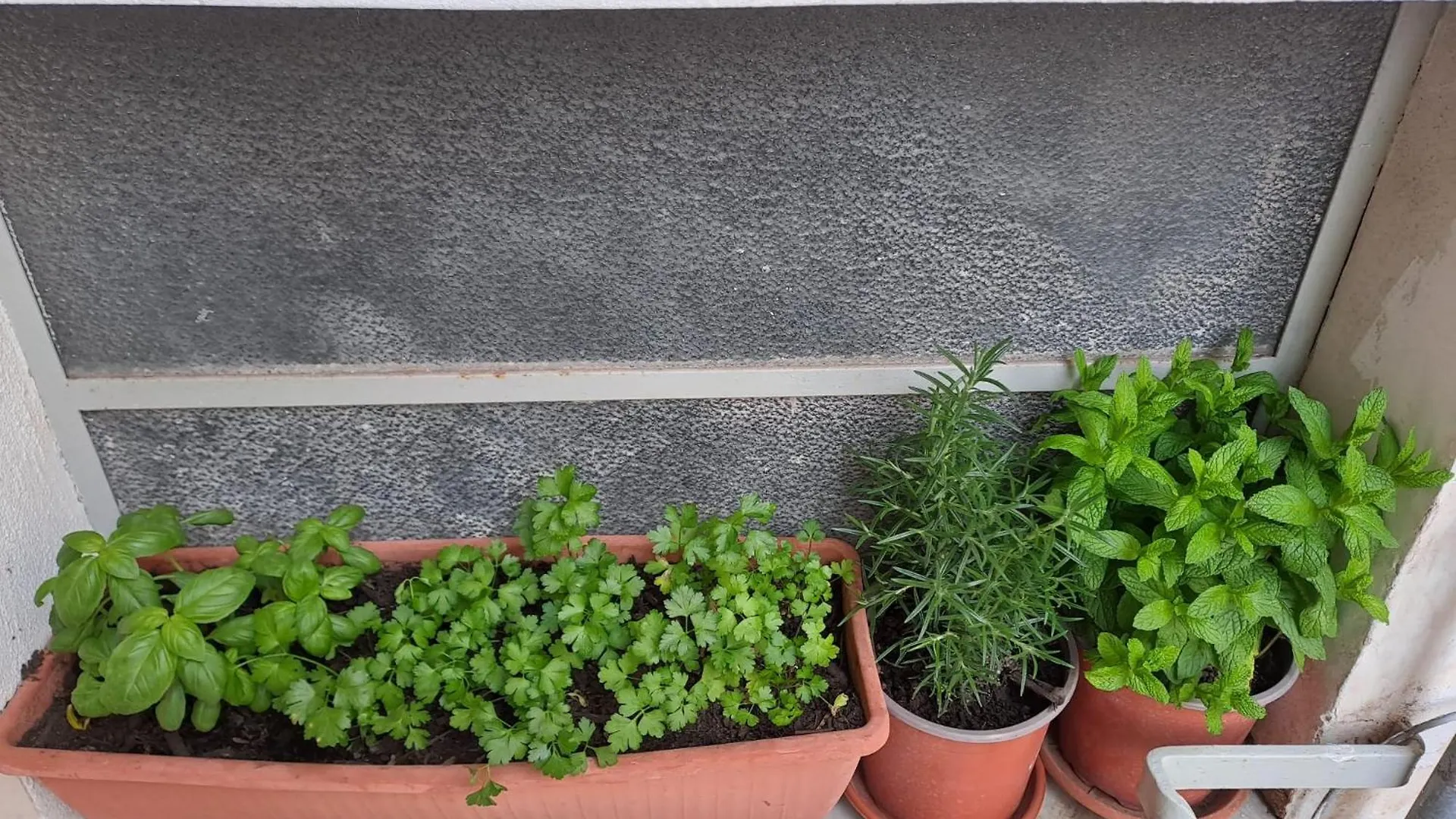 B&B Domus Pina Catania Italy