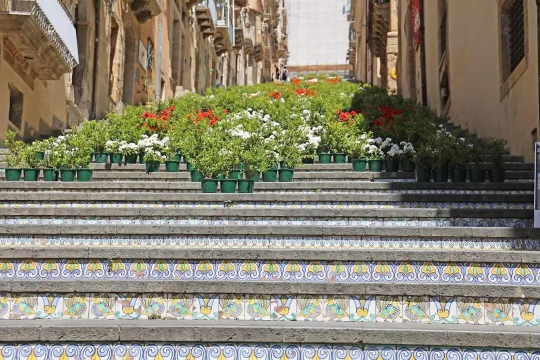 B&B Domus Pina Catania Guest house